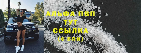 гашик Инсар