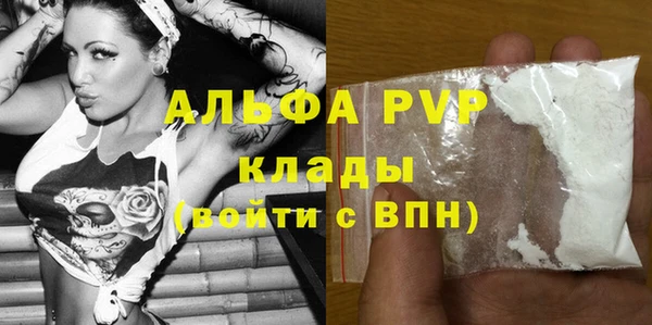 гашик Инсар
