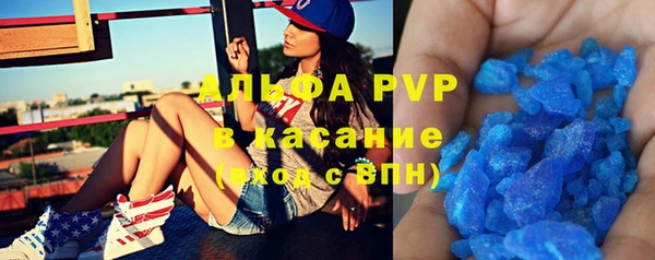 гашик Инсар