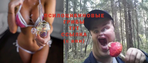 гашик Инсар